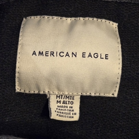 American Eagle Men's Colorblock‎ Logo Hoodie Pullover Sweatshirt Medium - Picture 8 of 13